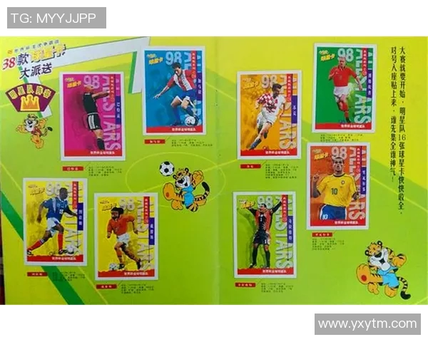 足球明星卡片册全景展示与收藏技巧分享